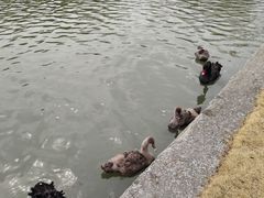 -东华大学(松江校区)