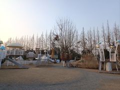 -前小桔亲子创意农场·草莓采摘·露营烧烤