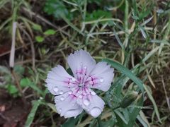 -湖洞水自然风景区