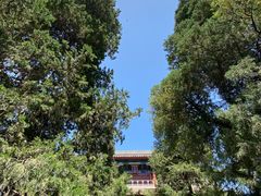 -北京艺术博物馆(万寿寺)