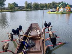 -溱湖国家湿地公园