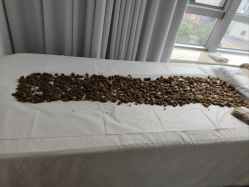 -姜美堂·蒸姜除湿の纤体美颜馆