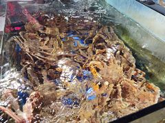 -蟹之国·精品蟹料理(极地店)