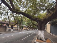 -颐和路民国时期公馆风貌区