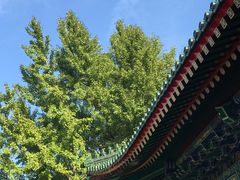 -香山公园