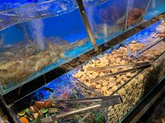 -苏格里岛自助海鲜烤肉(青秀万达店)