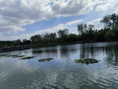 -溱湖国家湿地公园