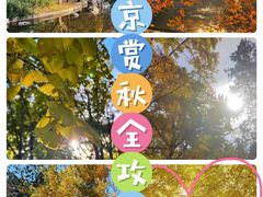 -颐和园