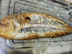 -肥猫烤翅·20年老字号(锦州道店)