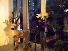 -蝶舍·MAISON PAPILLON