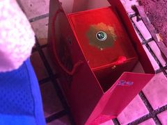 -洪大厨鸡煲(福田店)