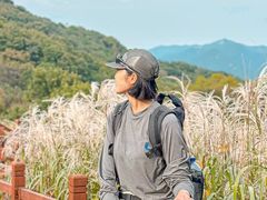 -火炉山森林公园