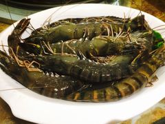 -船奇蒸汽海鲜·闽菜(八市海鲜总店)