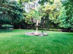 -叶叶菩提(太原别墅店)