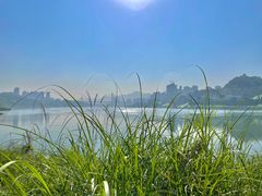 -金海湾滨江公园