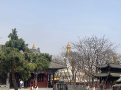 -护国法轮寺
