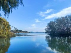 -贡湖湾湿地公园
