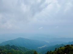 -王顺山国家森林公园