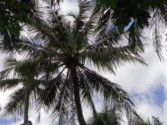 店内环境-南湾猴岛+椰田古寨一日游