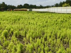 -天津东丽湖风景区