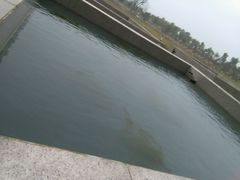 -滆湖低碳生态公园