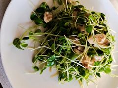 -大班家政月嫂育儿嫂(总部店)