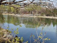-大兴滨河森林公园
