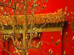 -北京市劳动人民文化宫(太庙)