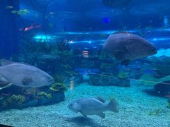 -上海海昌海洋公园-停车场
