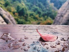 -冠豸山景区