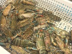 -一方渔歌蒸汽海鲜自助(文化路万达广场店)