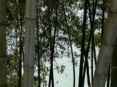 -原乡芦茨咖啡