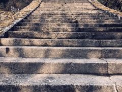 -鹿亭中村