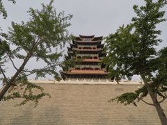 -永定河休闲森林公园