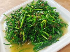 韭菜炒地皮菜-山里人家土菜馆(茅山店)
