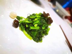 -子福慧(虹桥店)