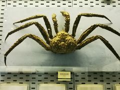 -浙江自然博物院(杭州馆)