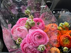 -花鸟鱼虫鲜花绿植市场(玉泉路店)