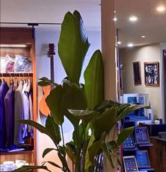 -伊布老裁缝西装礼服定制