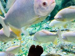 -常州海昌海洋探索馆