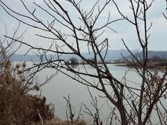 -东钱湖小普陀景区