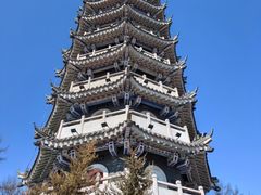 -黄椅山火山森林公园