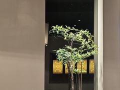 -明月土菜馆(老城区店)