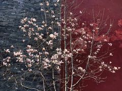 -东华门大街小区