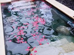 -苏州湾王焰温泉度假酒店