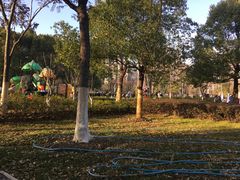 -天鹅湖体育公园