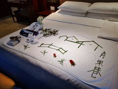 -常州环球恐龙城维景国际大酒店