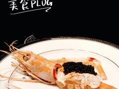 -西郊5号·Maggie 5