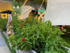 -CAMP.33露营烤肉·团建聚餐(创智天地店)