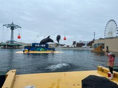 -秦皇岛乐岛海洋王国